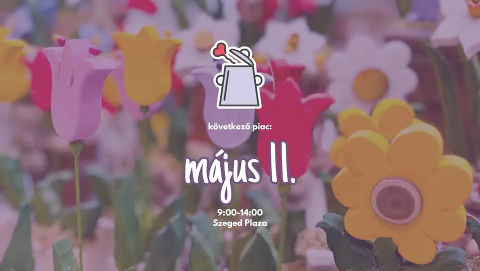 Bödön Piac - május 11.